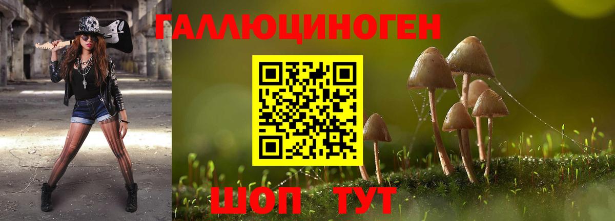 Галлюциногенные грибы прущие грибы Усолье-Сибирское